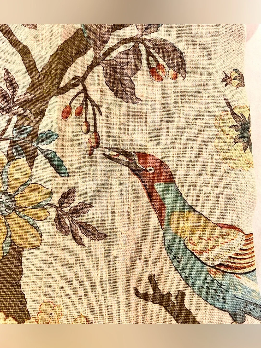 PILLOW TALK Pair Regal Pheasant Pillow Shams Queen 33”Parchment/French Blue NWT
